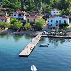 Myrsini'S Studios In Chorto Pelion Exterior photo