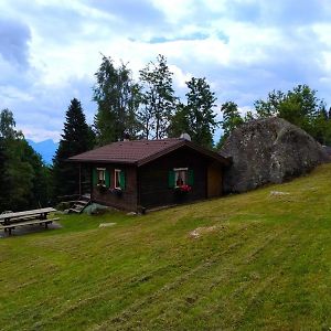 Апартаменти Chalet Al Sasso Da Pino, Telve Ospitar Exterior photo