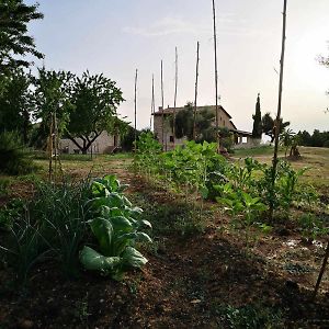 Готель Casa Rural Restaurante Mas Del Rei Каласейте Room photo