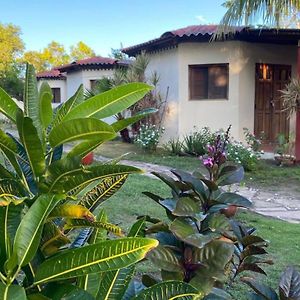 Room In Cabin - Cabana With Breakfast And Pool On The Beach Лас-Пенітас Exterior photo