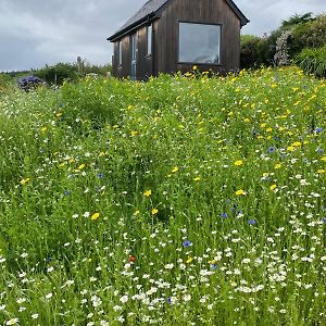 Elfin Cottage Портрі Exterior photo