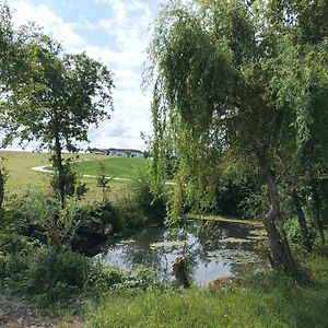 Апартаменти Wohnen Im Gruenen Pregarten Exterior photo