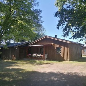 Вілла Strandnaera Hus Med Havsutsikt Och Stor Tomt Гальмстад Exterior photo