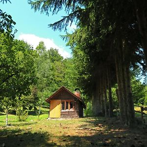 Вілла Planinska Kuca Palacinka Деспотовац Exterior photo