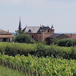 Вілла Le Petit Chateau De Sathonat - Horizon Paradis Saint-Amour-Bellevue Exterior photo