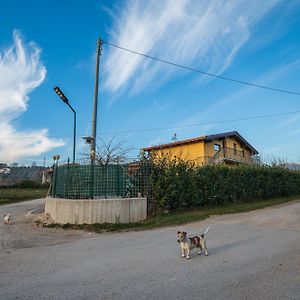 Bed and Breakfast Roberta House Ізернія Exterior photo