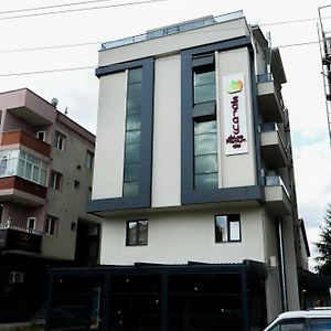 Saraydeluxepremium Otel Ізміт Exterior photo