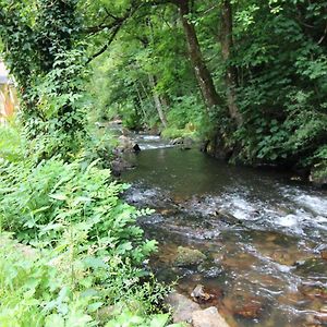 Bed and Breakfast Le Vieux Moulin De Guingamp Begard Exterior photo