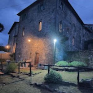 Апартаменти La Dolce Vita San Romano in Garfagnana Exterior photo