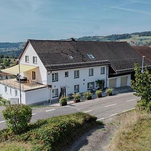 Familienfreundliche Wohnung Fuer 12 Und Mehr Gaeste, Nahe Zur Schweiz Вальдсгут-Тінген Exterior photo