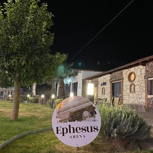 Апартаменти Erdem Ciftligi/ Ephesus Arena Сельчук Exterior photo