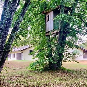 Вілла Le Refuge Des Bois Villandraut Exterior photo