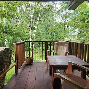 Bed and Breakfast Wilpattu Tree House Nochchiyagama Exterior photo