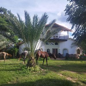 Horse Inn - Posada Самайпата Exterior photo