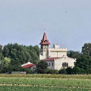 Готель Burg Schleibnitz Bei Wanzleben Exterior photo