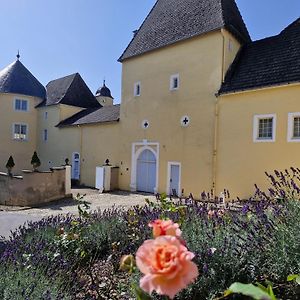 Готель Schloss Thorn Palzem Exterior photo