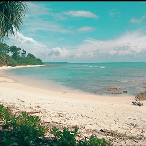 Готель Mallick Palace Neil Island South Andaman Ram Nagar Exterior photo