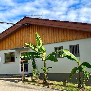 Готель Pension Am Hohberghof Dielheim Exterior photo