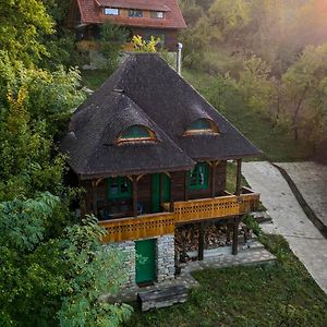 Вілла La Sat - Mandra Ioana Bertea Exterior photo