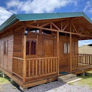 Вілла Cabana Girasoles - Cute Cabin With Amaizing Views! Jardin Exterior photo