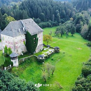 Готель Schloss Moosburg Gaestehaus Exterior photo