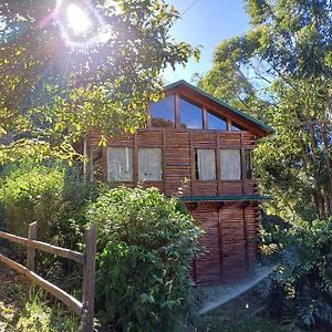 Вілла Cabana Bosque Encantado - A Classic Paradise! Jardin Exterior photo