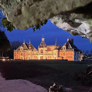 Bed and Breakfast Chateau De Chevigny-En-Valiere Exterior photo