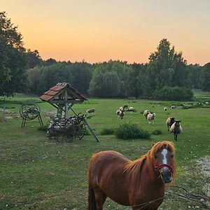 Вілла Agroturystyka Stara Huta Наріль Exterior photo