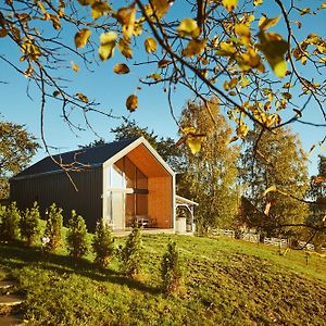 Вілла Scandinave Chalet Bran Зернешті Exterior photo