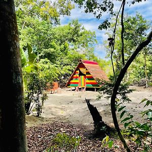 Land Of Promise - Reggae Eco Village Zanderij Exterior photo