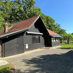 Вілла Chalet Neva Loce pri Poljcanah Exterior photo