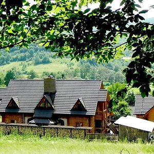 Bed and Breakfast Приватна Садиба Дикий Мед Плоске Exterior photo