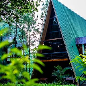 Hotel De Cristal & Hacienda De Los Morales Сан-Міґель Exterior photo