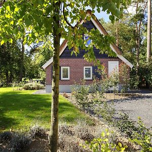 Beautiful Villa Located On De Veluwe Оттерло Exterior photo