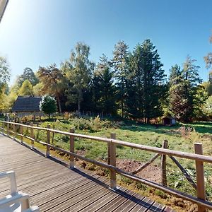 Bed and Breakfast Moulin De Lachaud Sainte-Fortunade Exterior photo