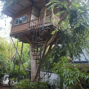 The Tree House Vip Cottage Анурадхапура Exterior photo