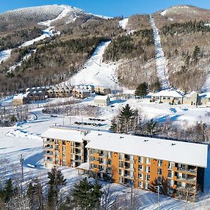 Les Appartements Du Massif De Charlevoix Петіт-Рів'єр-Сен-Франсуа Exterior photo