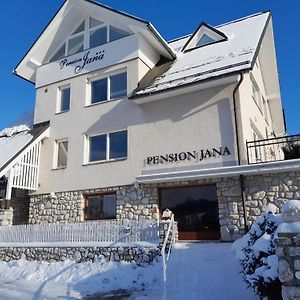 Готель Pension Jana - Wellness Їлемніце Exterior photo