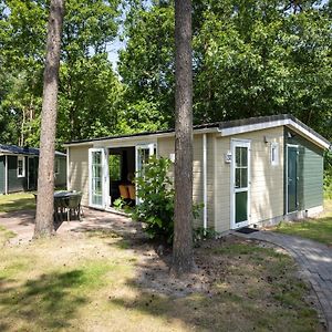 Вілла Nice Chalet In A Car-Free Park Vlierden Exterior photo