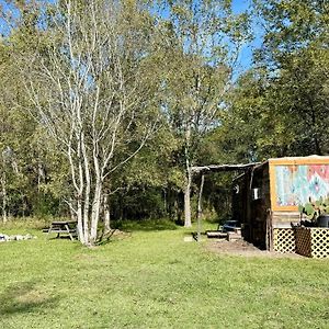 Вілла Cabin 1 Remote Cabin Next To Sam Houston National Forest Гантсвілл Exterior photo