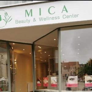 Готель Mica Beauty Wellness Center Temse Exterior photo