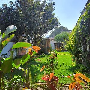 Jardin De Stela Hotel Antigua Exterior photo