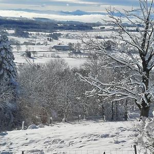 Вілла La Verriere Du Sancy Picherande Exterior photo