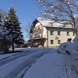 Готель Pension Sommerauer Галлайн Exterior photo