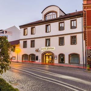 Hotel Florian Седльчани Exterior photo