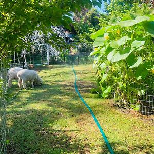 Апартаменти Bird Paradise & Mini Farm Бендіго Exterior photo