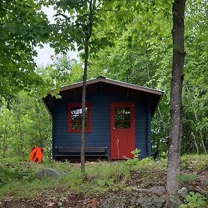 Вілла Shelley'S Bay Bunkie #2 Sharbot Lake Exterior photo