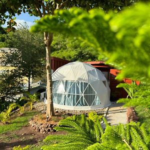 Готель The Secret Garden - Glamping Grenada Morne Rouge Exterior photo