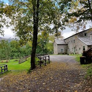 Апартаменти Agriturismo Al Castagno Абетоне Exterior photo