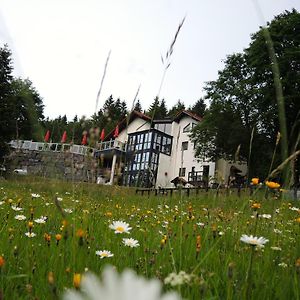 Gastinger Hotel-Restaurant Шмідефельд-ам-Реннштайґ Exterior photo